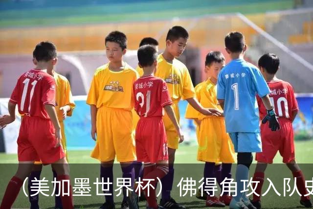 （美加墨世界杯）佛得角攻入队史首球再创历史 埃及3:1战胜新西兰